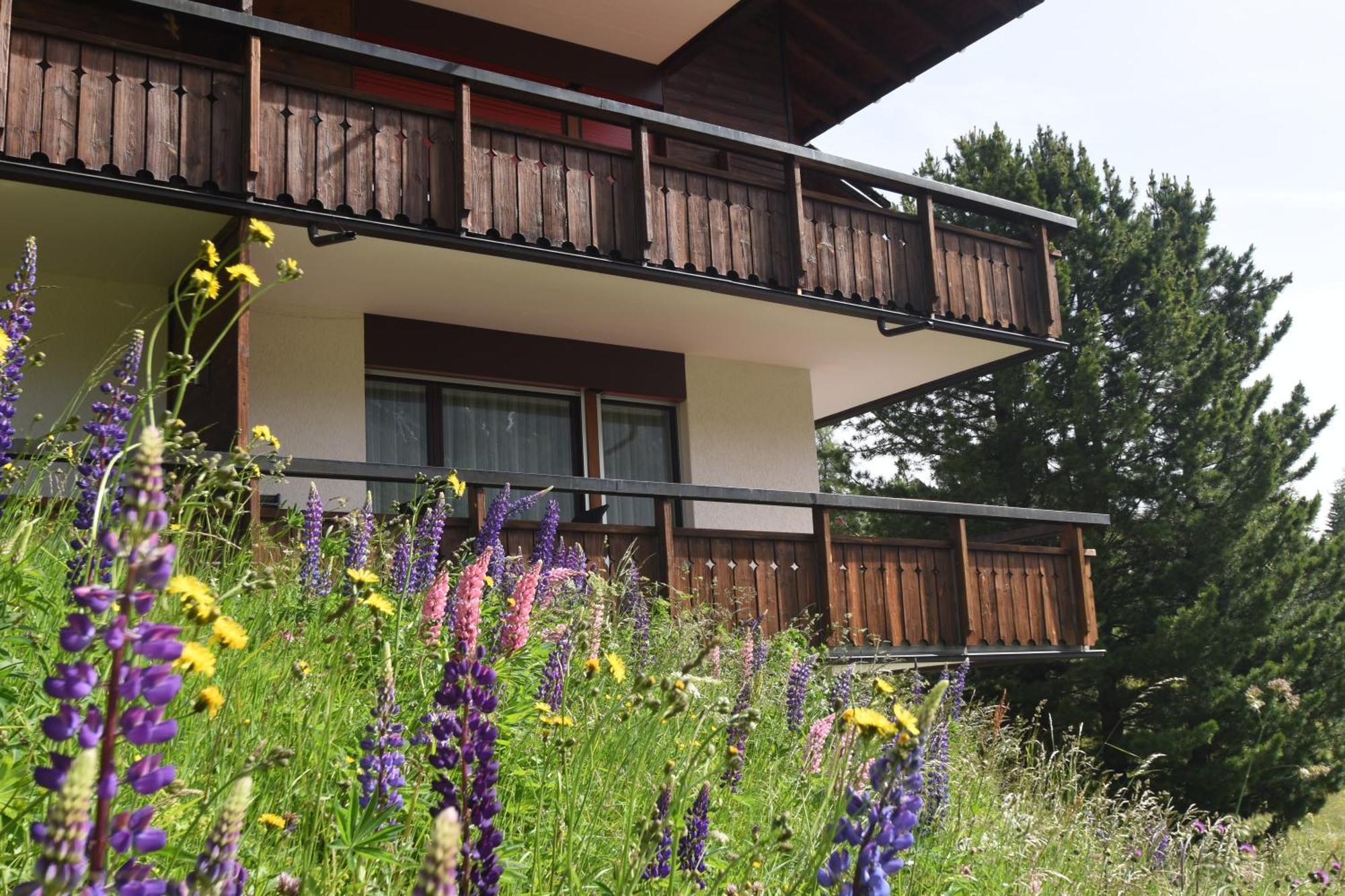 Chalet Christina 7 阿罗萨 外观 照片